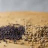 can you use mustard instead of mustard seeds