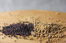 can you use mustard instead of mustard seeds