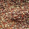 do mustard seeds have gluten