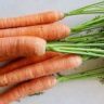 how long do carrots take to grow