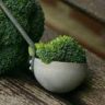 how to cook baby broccoli