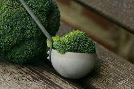 how to cook baby broccoli