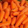 can you freeze carrot
