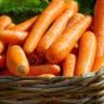 what is good in carrots