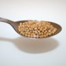 how to get mustard seeds