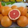 is pomelo a grapefruit