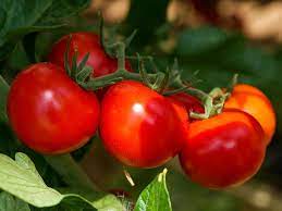 what are the vitamins in tomatoes