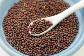 what does mustard seed look like