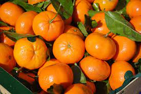 what fruit is a hybrid of mandarin orange and grapefruit