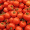 what is good in tomatoes