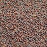 what to do with black mustard seeds