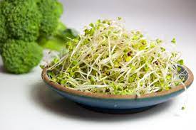 where to buy broccoli sprouts
