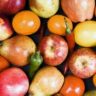 A Guide to Local Markets How to Sell Fresh Produce in Australia