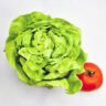 Can Lettuce be Planted With Tomatoes
