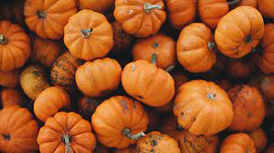 Carbohydrates in Pumpkin