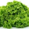 How Many Calories in a Lettuce