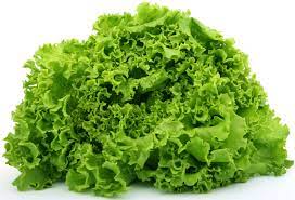 How Many Calories in a Lettuce