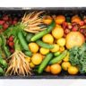 How to Sell Your Homegrown Fruits and Vegetables Online in Australia