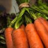 are carrots keto friendly