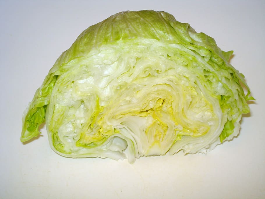 how to store iceberg lettuce        
        <figure class=