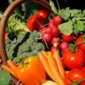 How to Use SEO to Promote Your Fruits and Vegetables Business Online in Australia