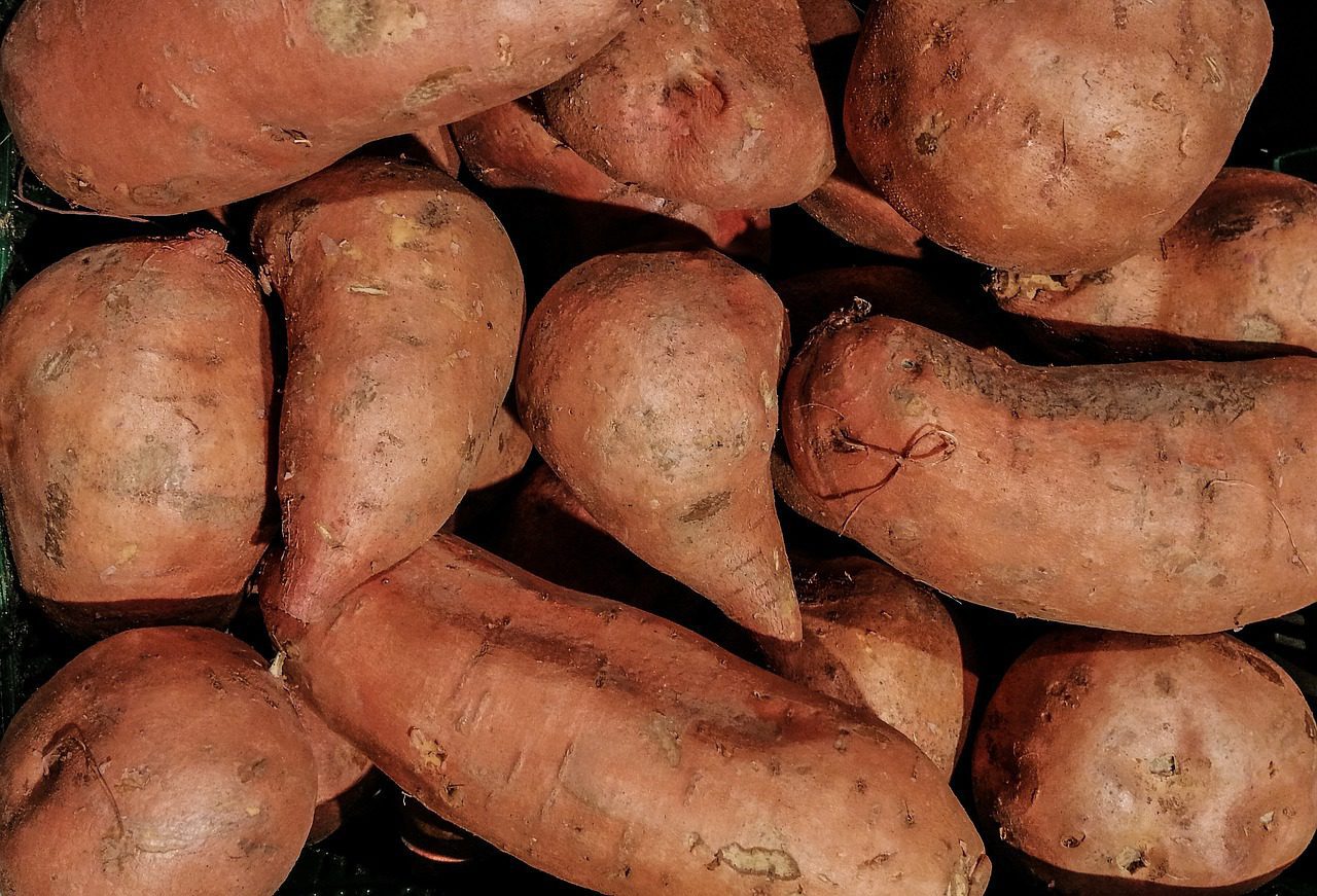 Is Pumpkin or Sweet Potato Healthier