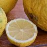 Lemons With Brown Skin
