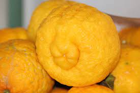 Lemons With Thick Skin