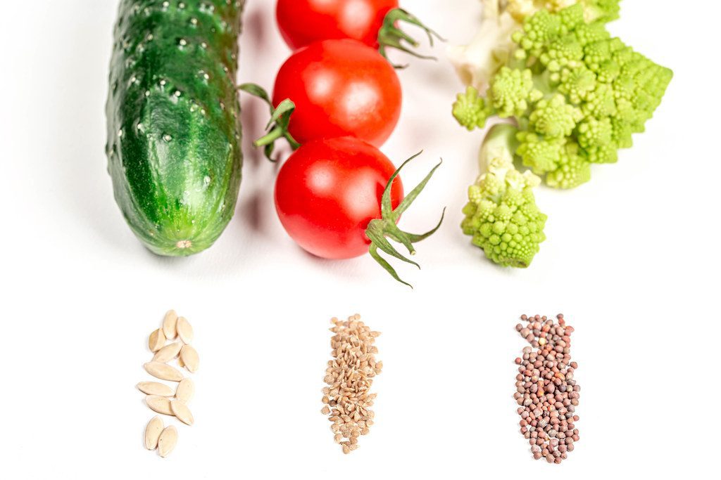 Leveraging Agri-Tourism for Selling Fruits and Vegetables in Australia