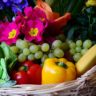 A Beginner's Guide to Fruit and Vegetable Auctions in Australia