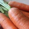 are carrots good for weight loss