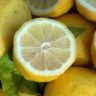 are lemons in season