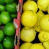 are limes lemons