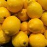 can lemons and limes be stored together
