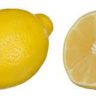 can lemons be round