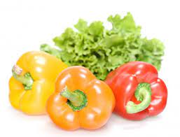 Can Lettuce And Peppers Grow Together