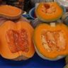 can pumpkin be eaten raw