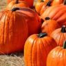can pumpkin cause constipation