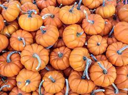 can pumpkin cause gas