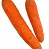 do carrots have carbs