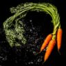 do carrots help you see in the dark
