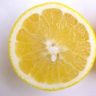 eating lemons when pregnant