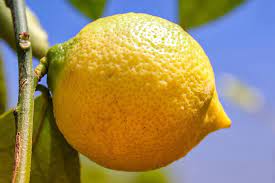 How do Lemons Taste