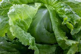 how lettuce is good for you