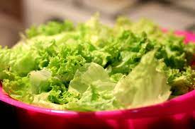 how much do lettuce cost