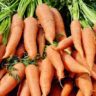 how much does a carrot weigh