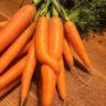 how to grow carrots in australia