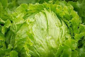 How to Keep Lettuce Fresh