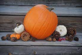is pumpkin gluten free