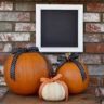 Is Pumpkin Good For Pregnancy